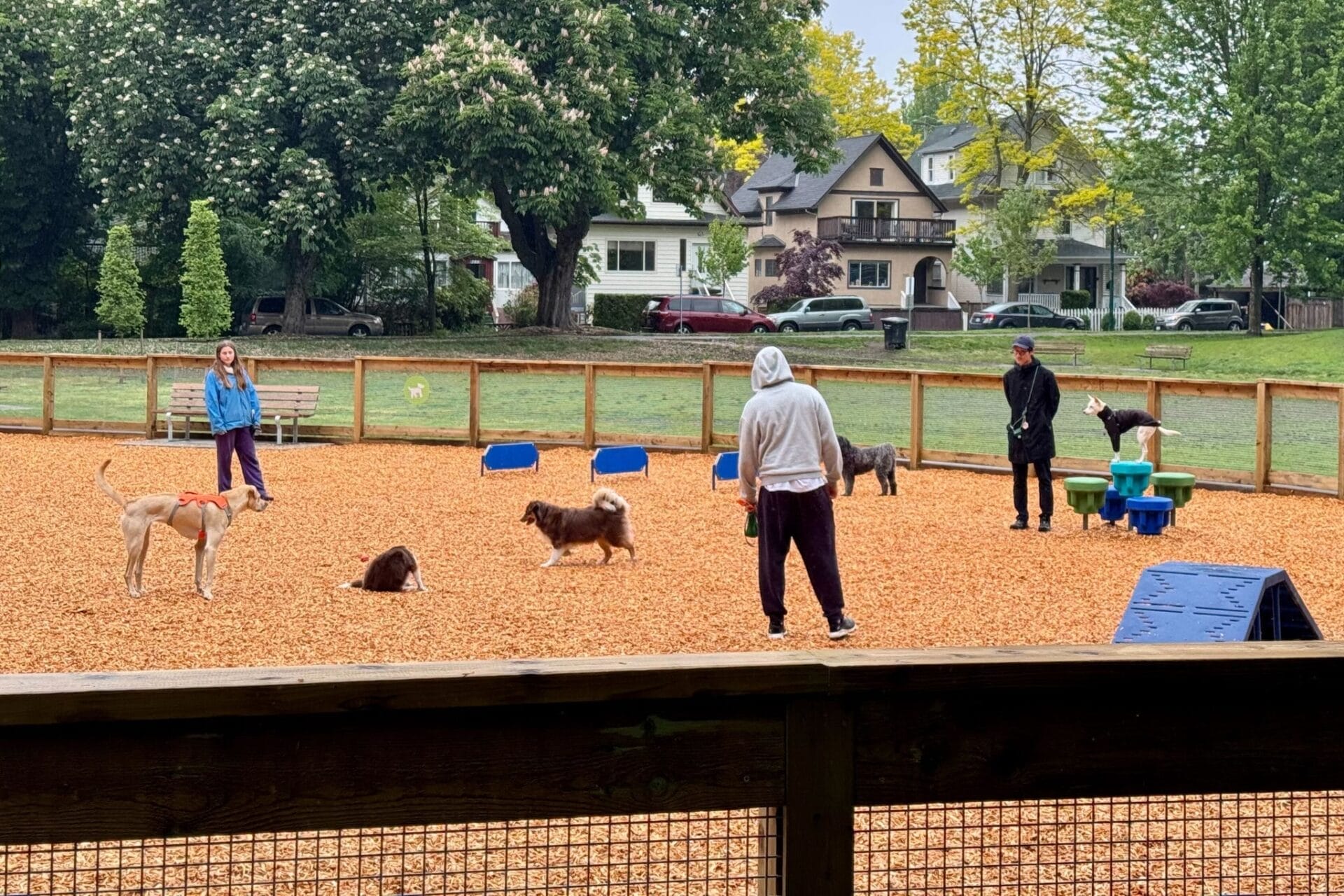 new-13,000-sq-ft.-off-leash-dog-area-now-open-in-vancouver-park-–-daily-hive-vancouver