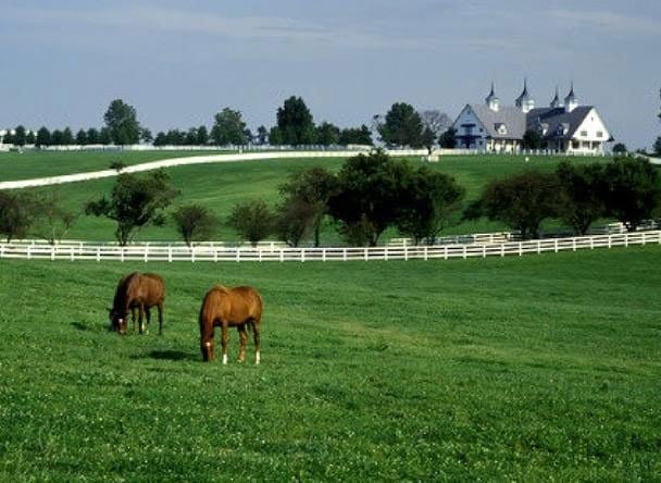 Vancouver Acreage Properties