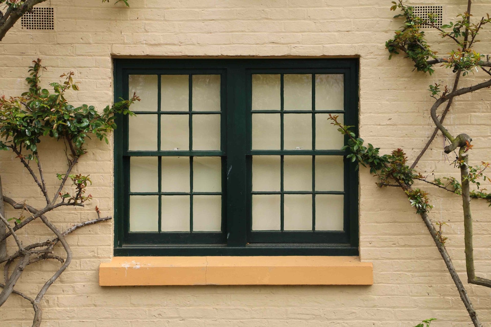 6-ways-to-unstick-windows-that-have-been-painted-shut