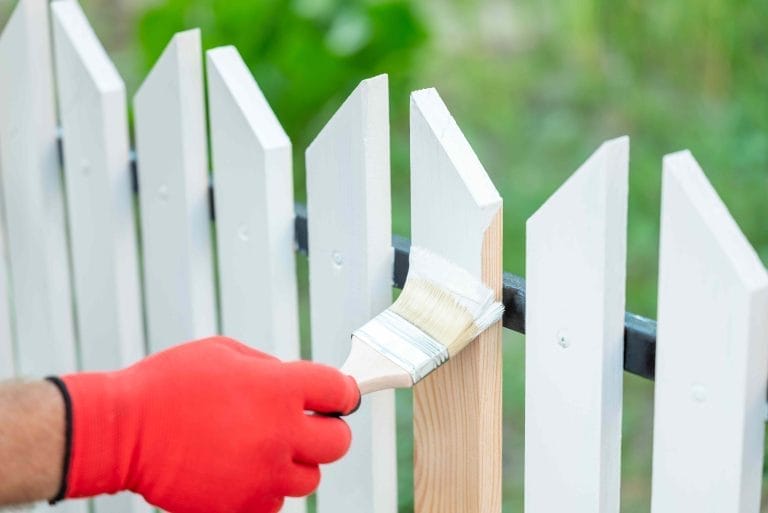 can-you-paint-the-side-of-a-neighbors-fence-that-faces-your-yard?