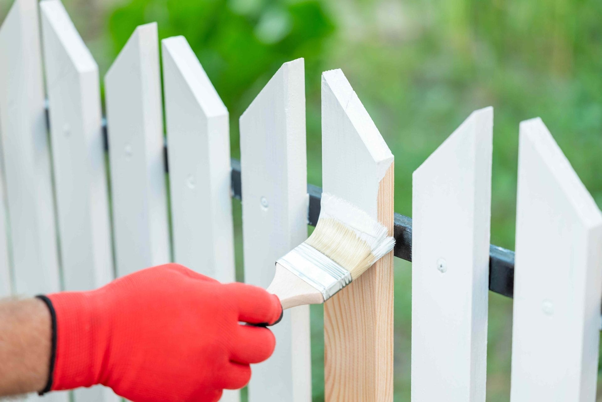 can-you-paint-the-side-of-a-neighbors-fence-that-faces-your-yard?