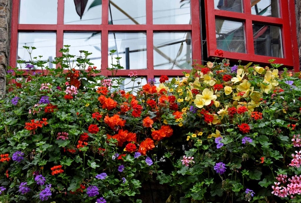 can-you-take-garden-plants-with-you-when-moving?-a-lawyer-weighs-in