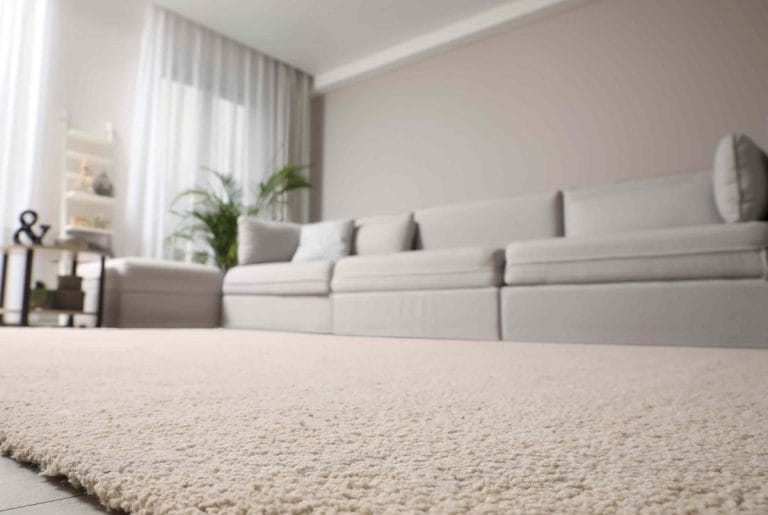 5-rooms-you-should-never-(ever)-put-carpet-in